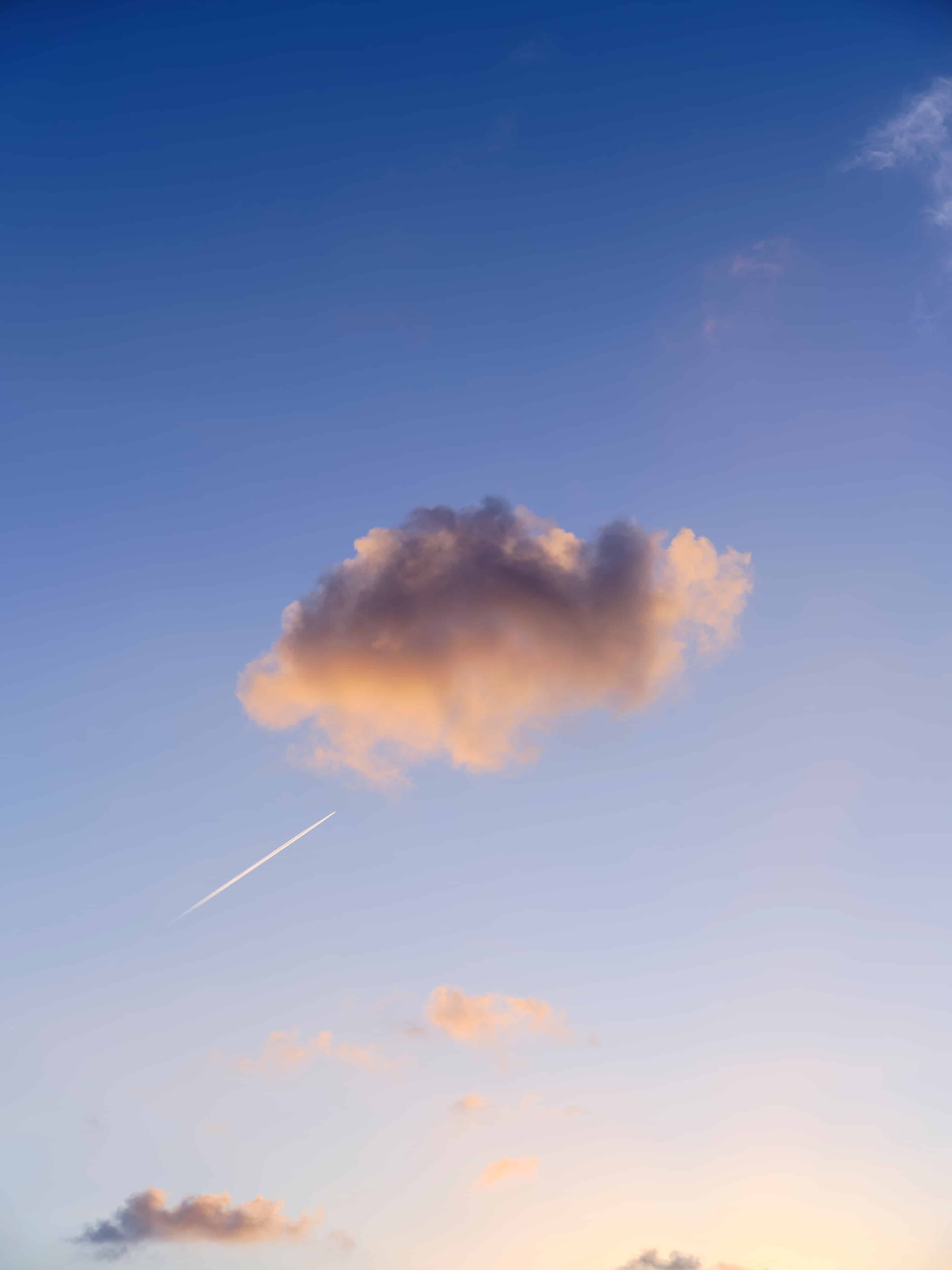 Daily Photos Taken by GFX100S