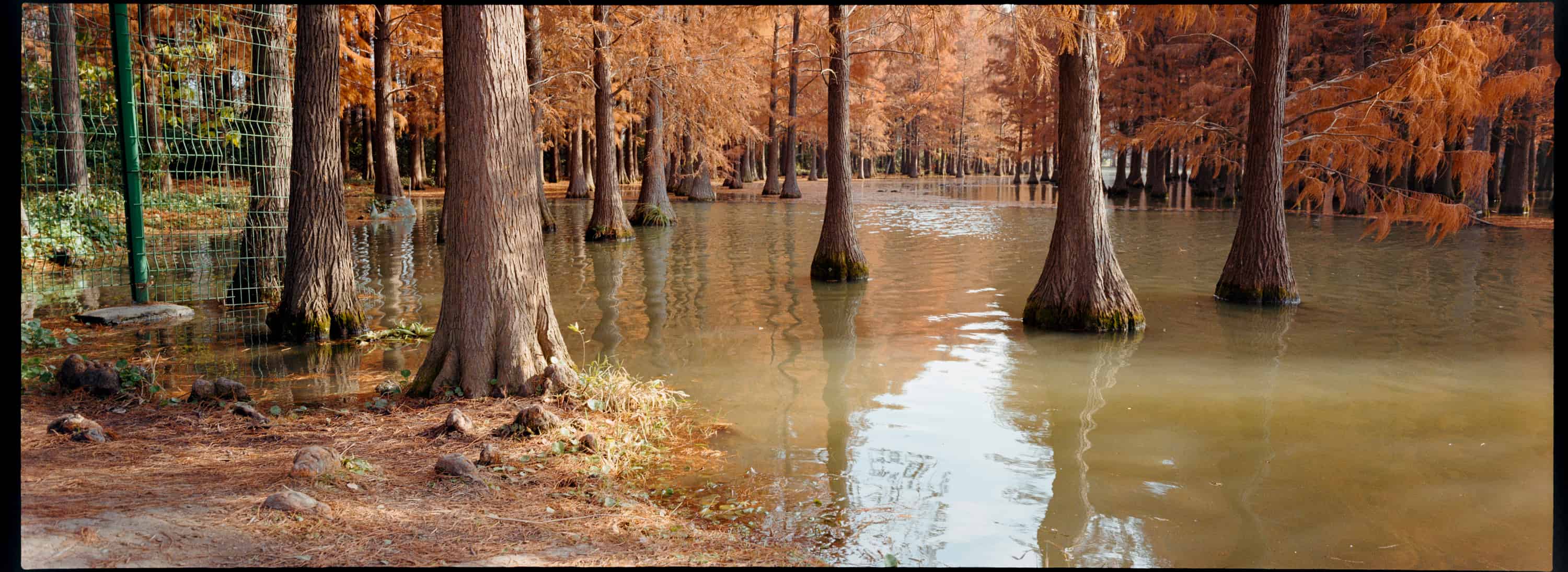 Fall